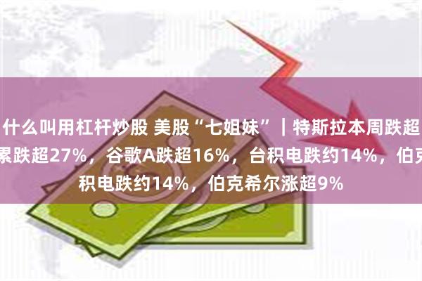 什么叫用杠杆炒股 美股“七姐妹”｜特斯拉本周跌超13%，2月份累跌超27%，谷歌A跌超16%，台积电跌约14%，伯克希尔涨超9%