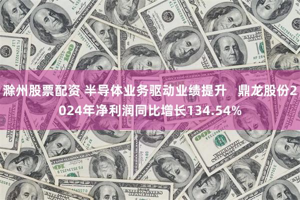 滁州股票配资 半导体业务驱动业绩提升   鼎龙股份2024年净利润同比增长134.54%