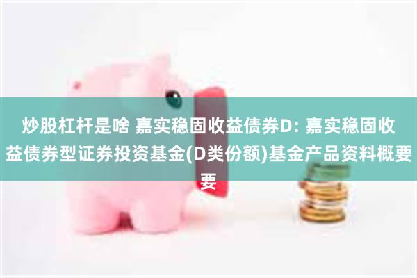 炒股杠杆是啥 嘉实稳固收益债券D: 嘉实稳固收益债券型证券投资基金(D类份额)基金产品资料概要