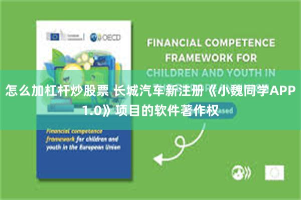 怎么加杠杆炒股票 长城汽车新注册《小魏同学APP1.0》项目的软件著作权