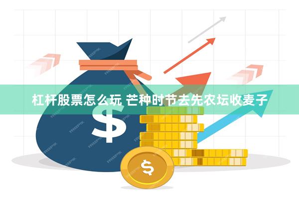 杠杆股票怎么玩 芒种时节去先农坛收麦子