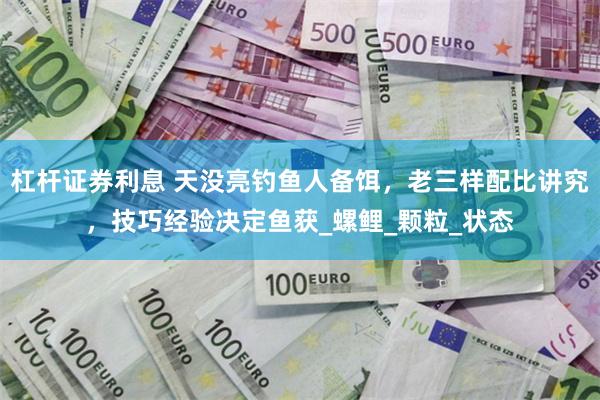 杠杆证券利息 天没亮钓鱼人备饵，老三样配比讲究，技巧经验决定鱼获_螺鲤_颗粒_状态