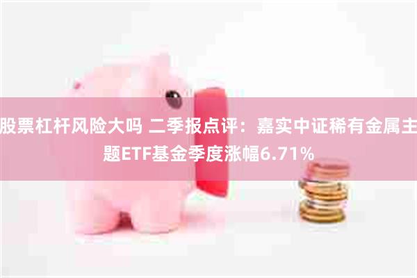 股票杠杆风险大吗 二季报点评：嘉实中证稀有金属主题ETF基金季度涨幅6.71%