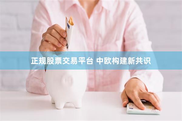 正规股票交易平台 中欧构建新共识