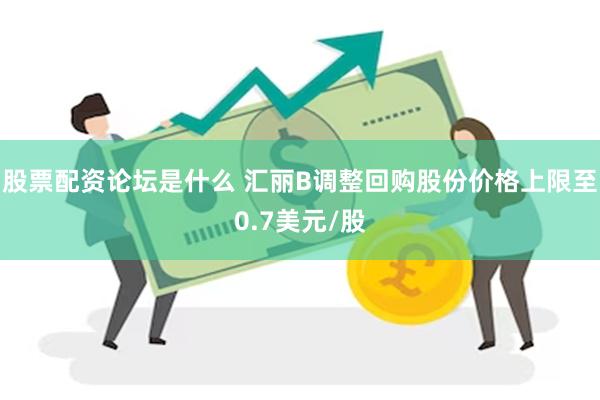 股票配资论坛是什么 汇丽B调整回购股份价格上限至0.7美元/股